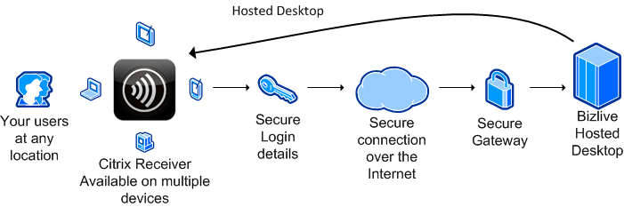 Bizlive Hosted Desktop Flexibility